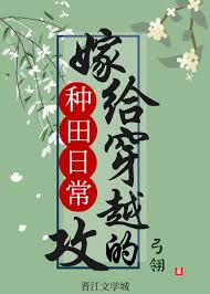 嫁给穿越攻的种田日常