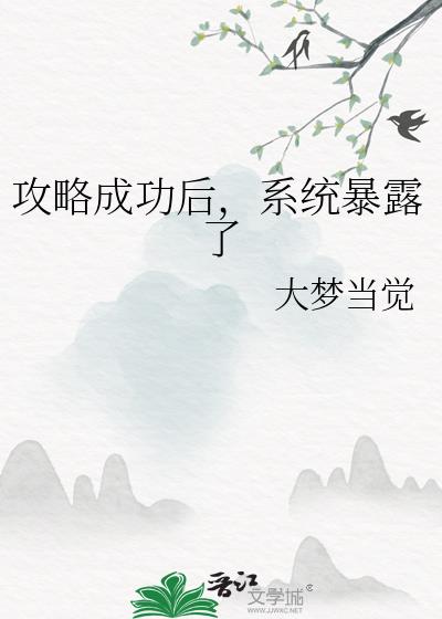 攻略成功后，系统暴露了